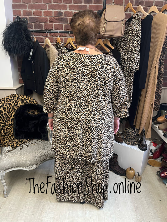 Clarissa brown leopard print top 16-24