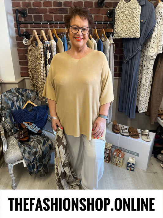 Abigail sand V neck top 16-24