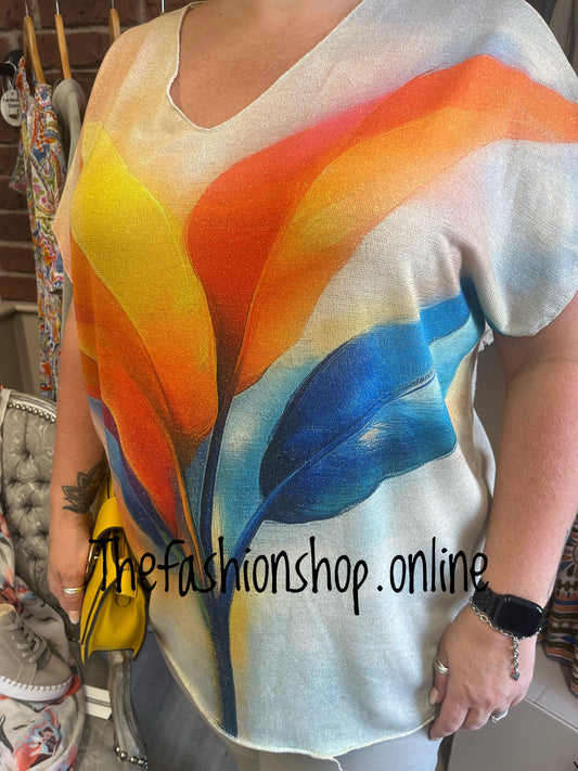 Rhianna burst of colour v neck top 16-22