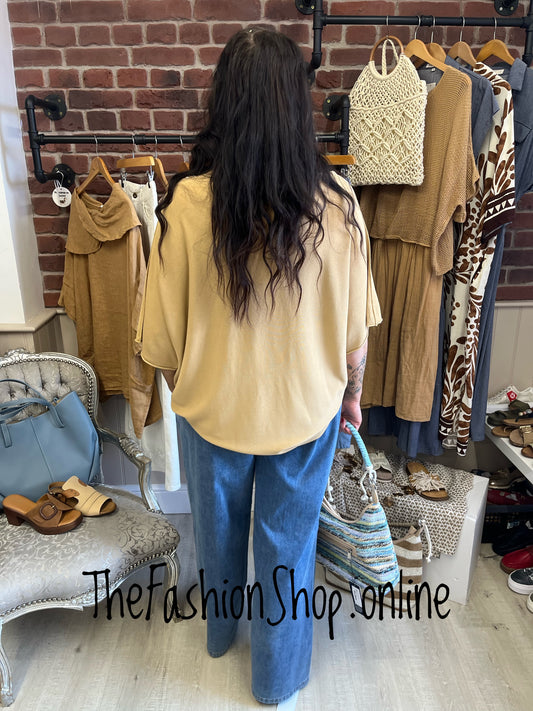 Abigail sand V neck top 16-24