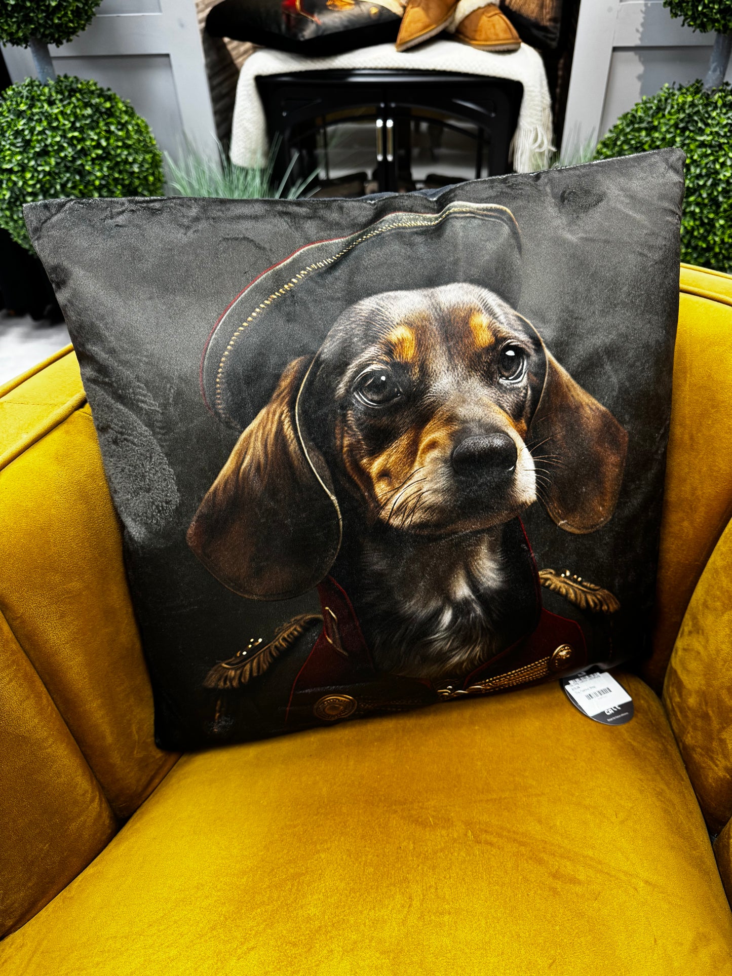 Top Dog Cushion Dachshund