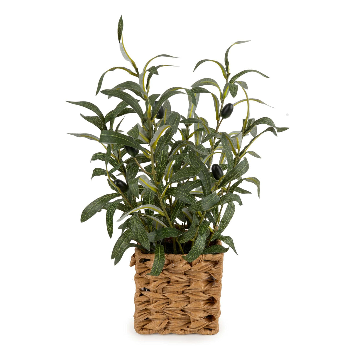 Candlelight 43cm Olive Tree in Wicker Basket