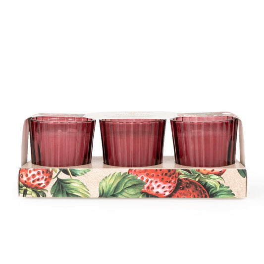 Candlelight Set of 3 Voltives Wild Strawberry and Rhubarb