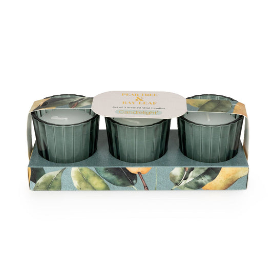 Candlelight Set of 3 Voltives Pear Tree and Bay Leaf