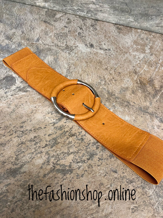 Rust belt with silver buckle