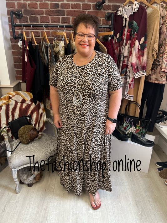 Sasha brown leopard dress 18-24
