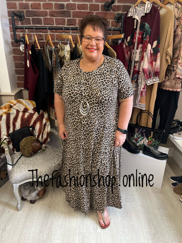 Sasha brown leopard dress 18-24