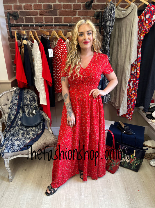 Stella Morgan red ditsy floral dress sizes 8-16