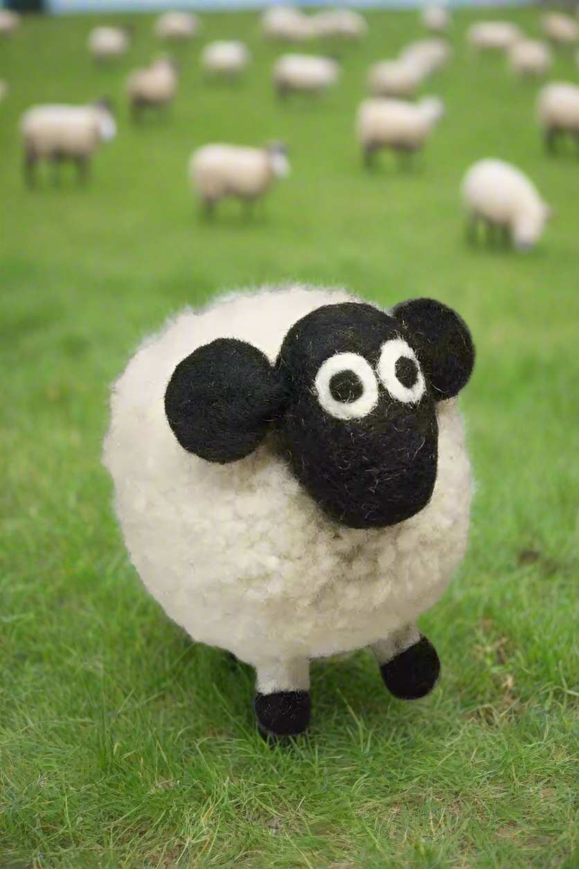 Pachamama Diane the domestic Sheep
