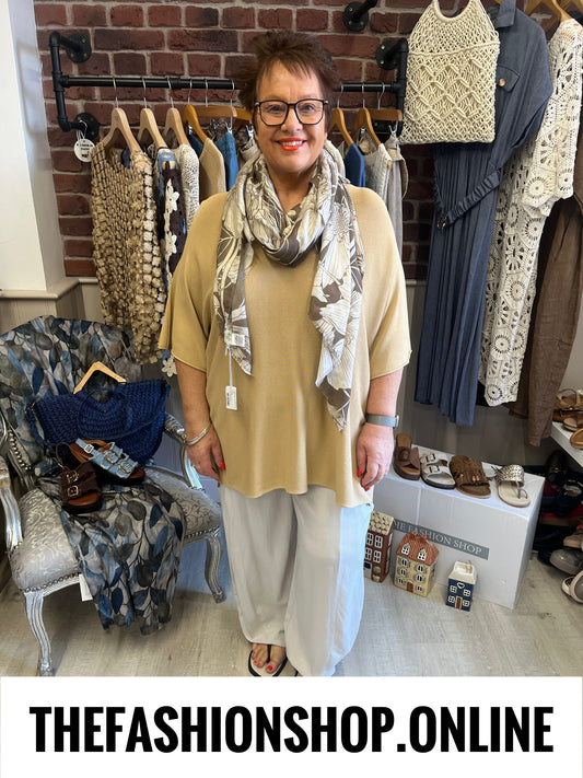 Abigail sand V neck top 16-24