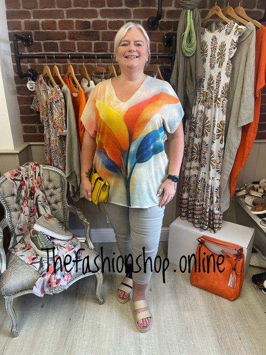 Rhianna burst of colour v neck top 16-22