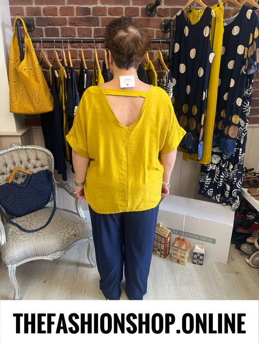 Layla V neck antique gold top 16-22