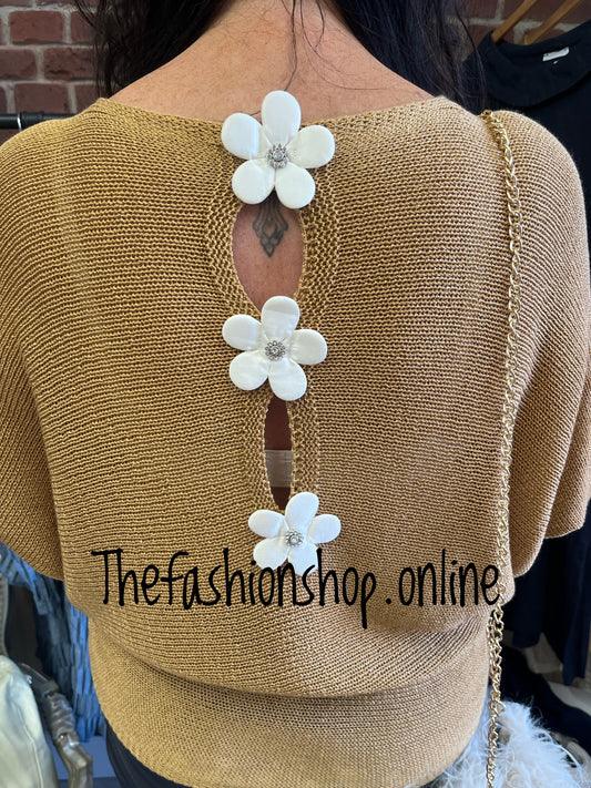 Daisy camel shimmer open back detail top 10-16