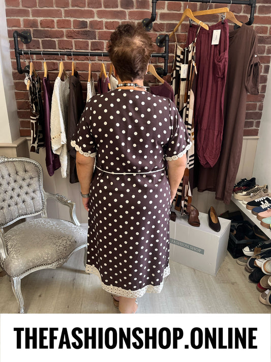 Carolyn brown linen mix polka dot dress 12-16