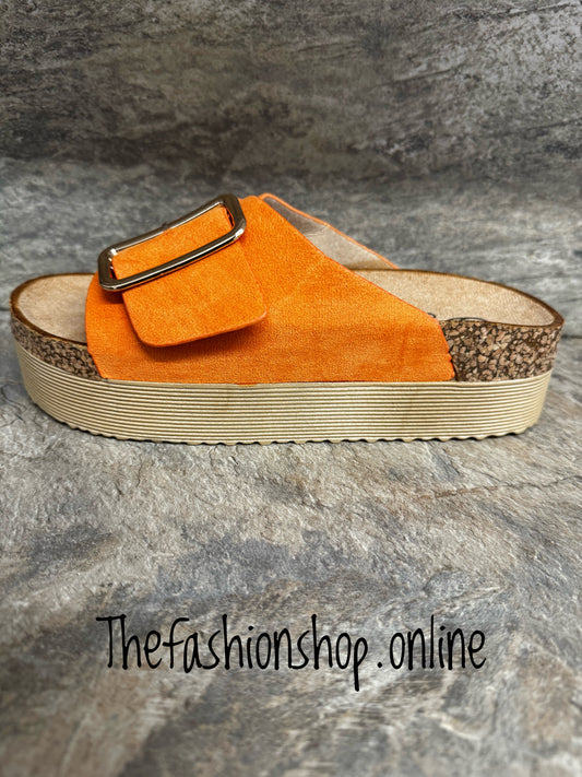 Orange buckle slider 3-8