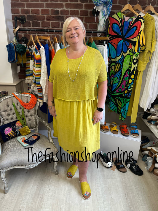Leah citrus dress with mesh overlay 8-18
