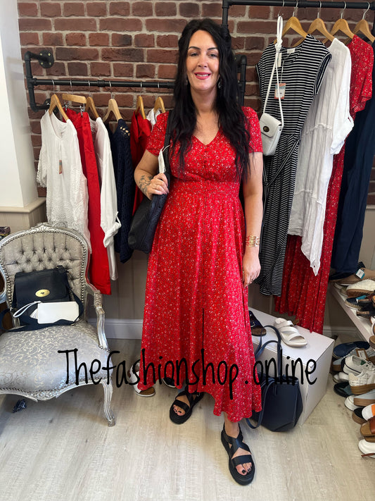 Stella Morgan red ditsy floral dress sizes 8-16