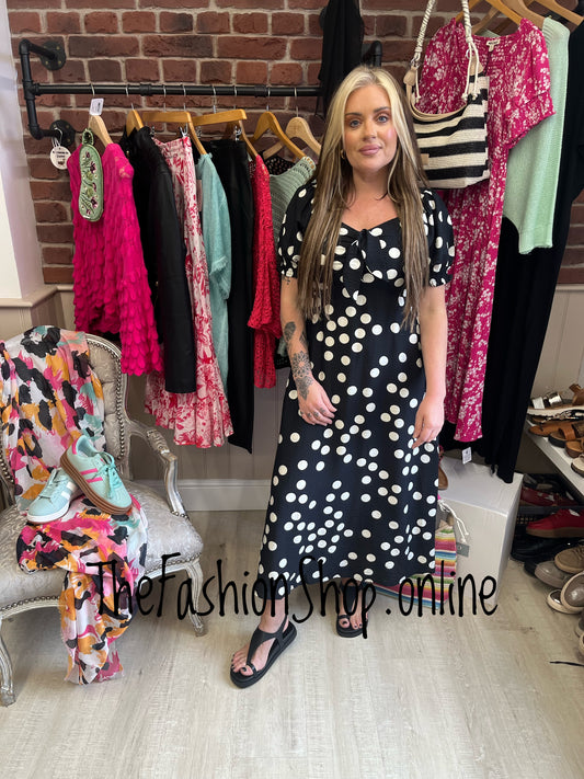 Stella Morgan black spot dress sizes 8-16