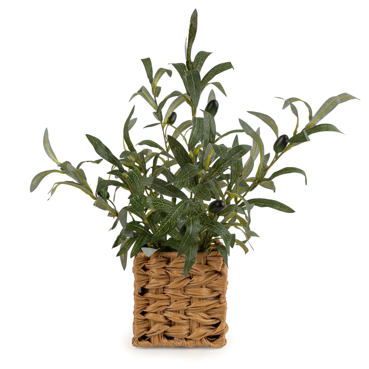 Candlelight 43cm Olive Tree in Wicker Basket