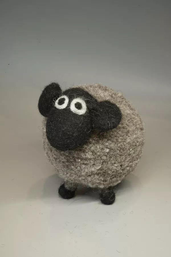 Pachamama Dereck the domestic Sheep