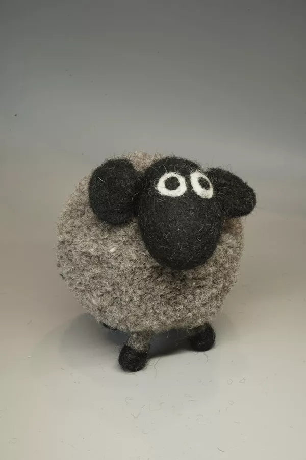 Pachamama Dereck the domestic Sheep