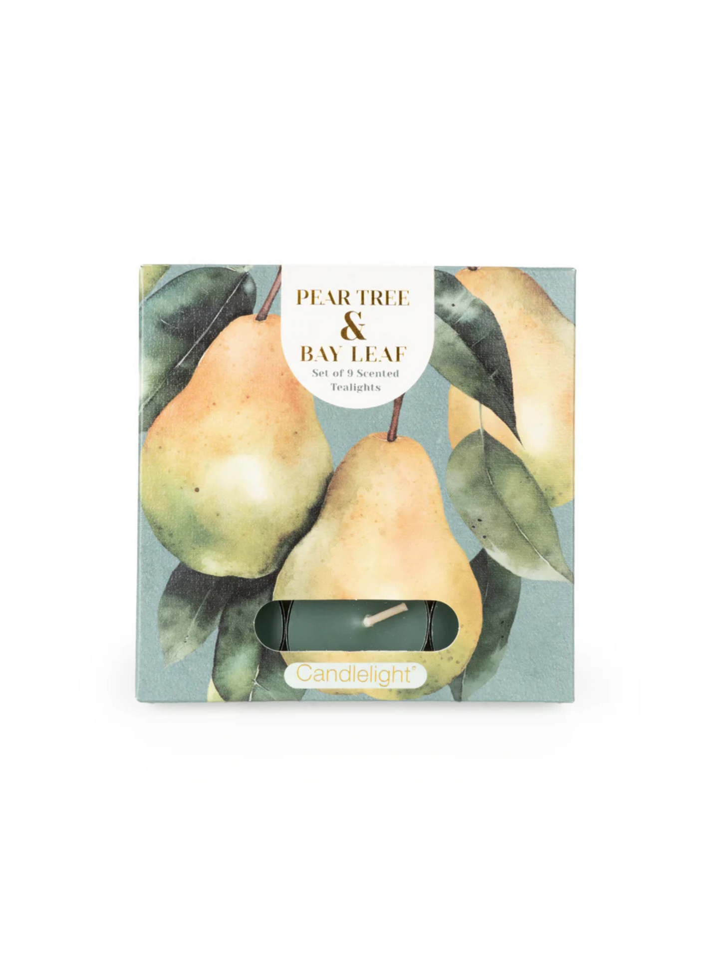 Candlelight Set of 9 Tea Lights Pear Tree and Bay Leaf