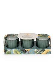 Candlelight Set of 3 Voltives Pear Tree and Bay Leaf