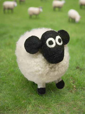 Pachamama Diane the domestic Sheep