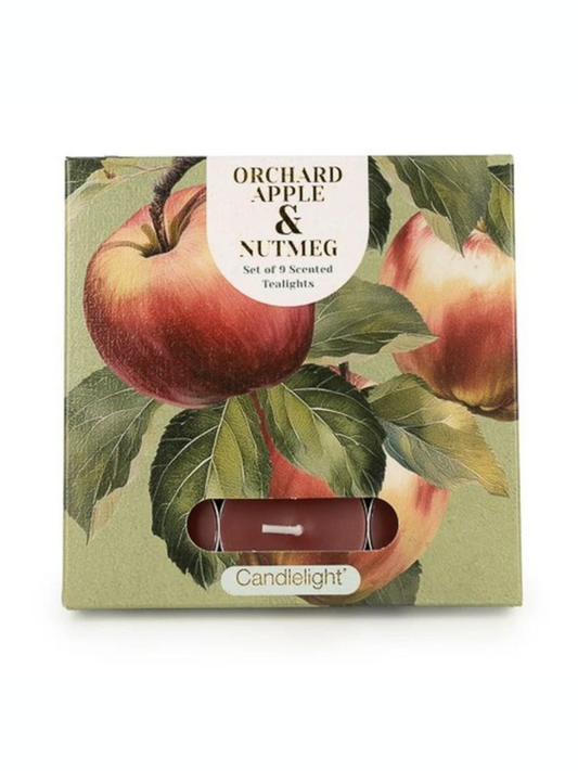 Candlelight Set of 9 Tea Lights Orchard Apple and Nutmeg