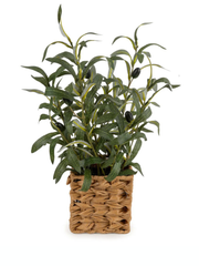 Candlelight 43cm Olive Tree in Wicker Basket