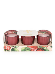 Candlelight Set of 3 Voltives Wild Strawberry and Rhubarb